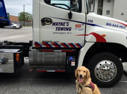 Towing Services