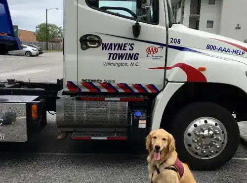 Transmission towing support in Wilmington, NC Wayne's Towing truck used for Econo Transmission customers